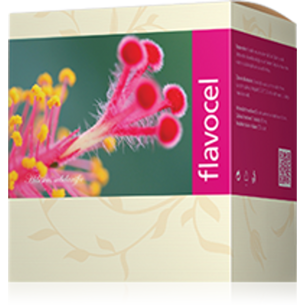 Energy, Flavocel