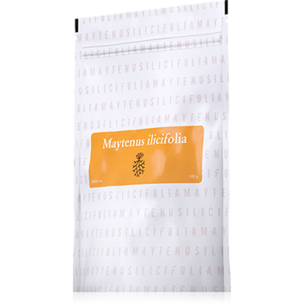 Energy, Maytenus Ilicifolia tea