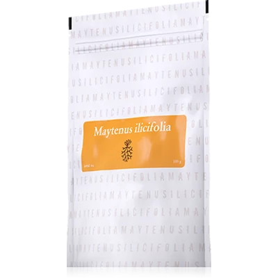Energy, Maytenus Ilicifolia tea