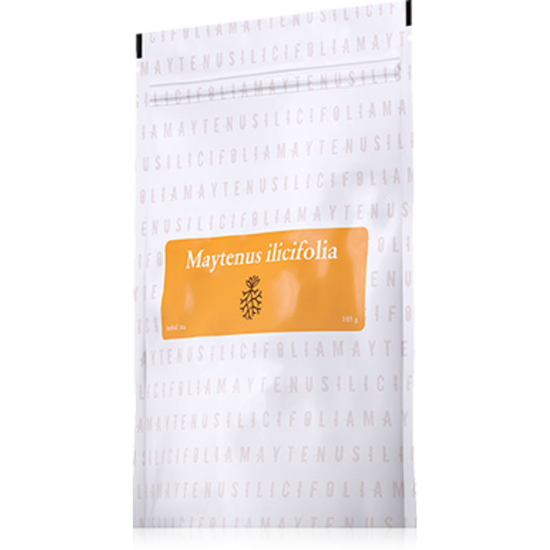 Energy, Maytenus Ilicifolia tea