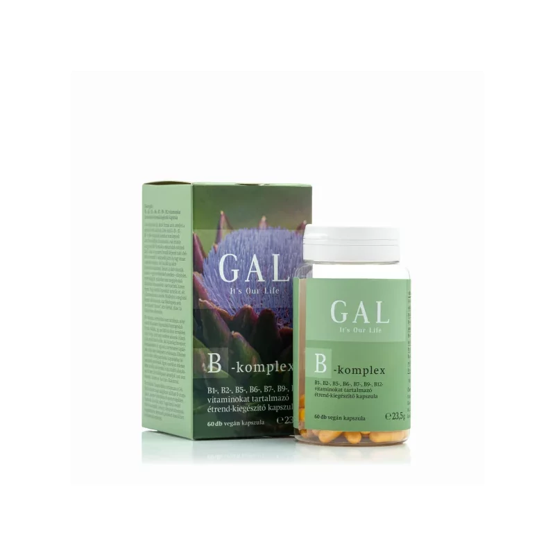 GAL, B-komplex